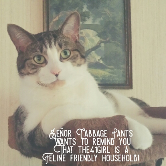 Meet your Posher, Sonia - Picture 3 of 4